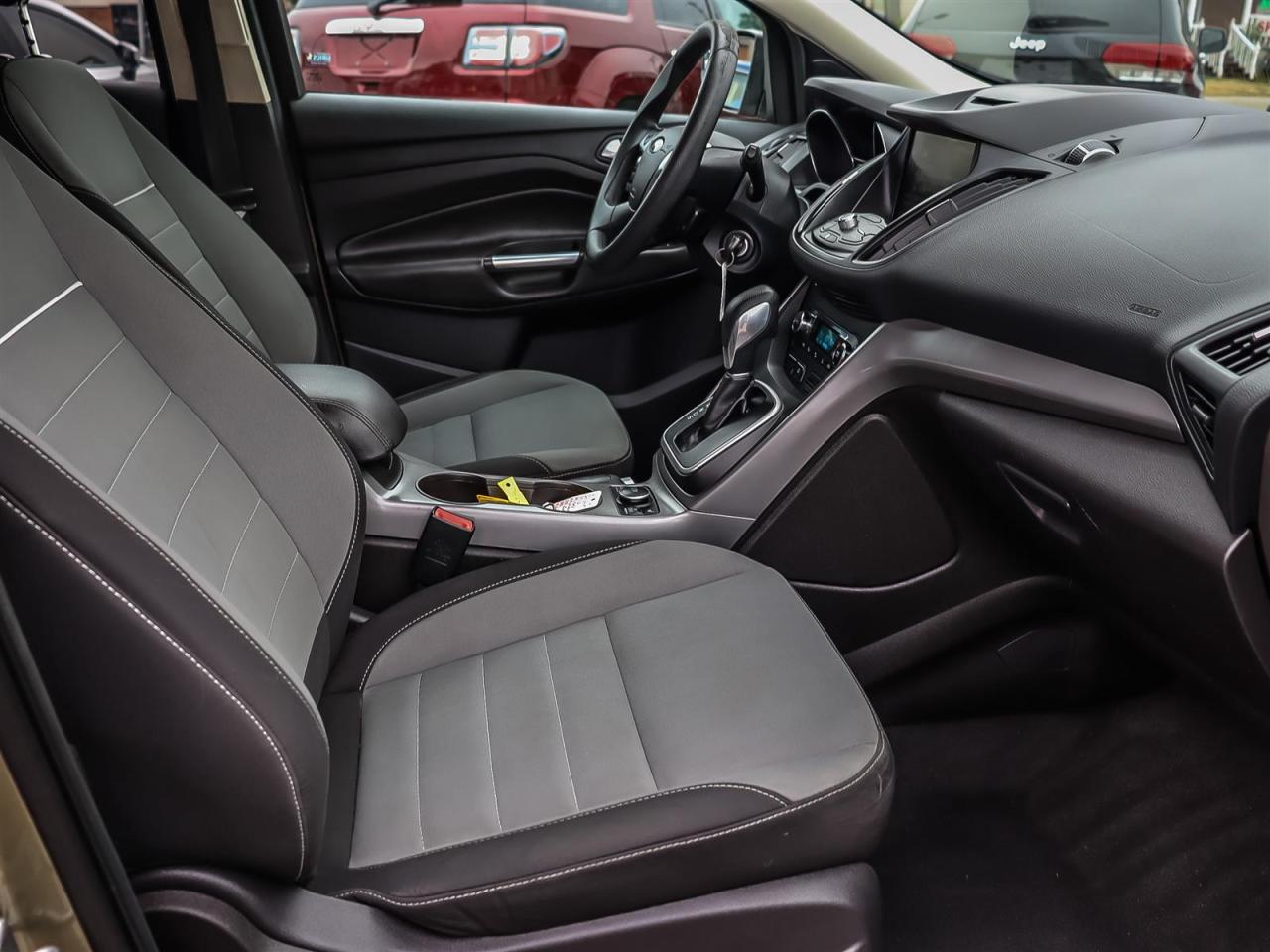 2013 Ford Escape  Photo