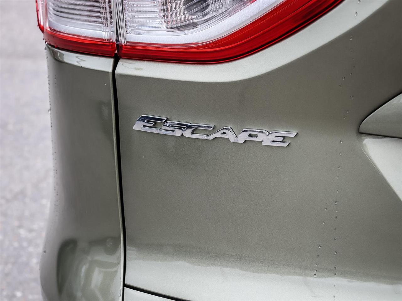 2013 Ford Escape  Photo