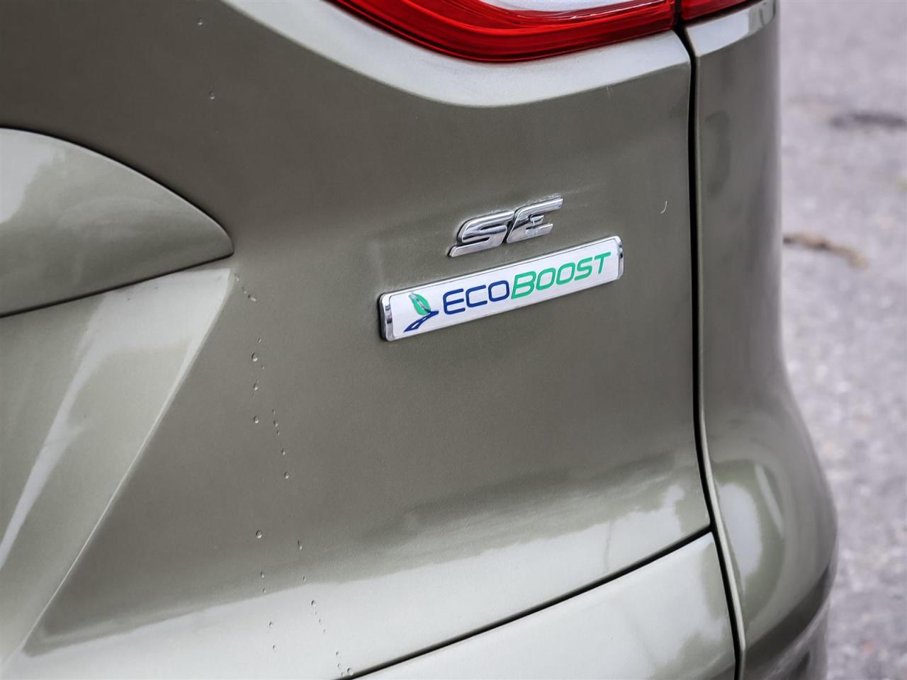2013 Ford Escape  Photo