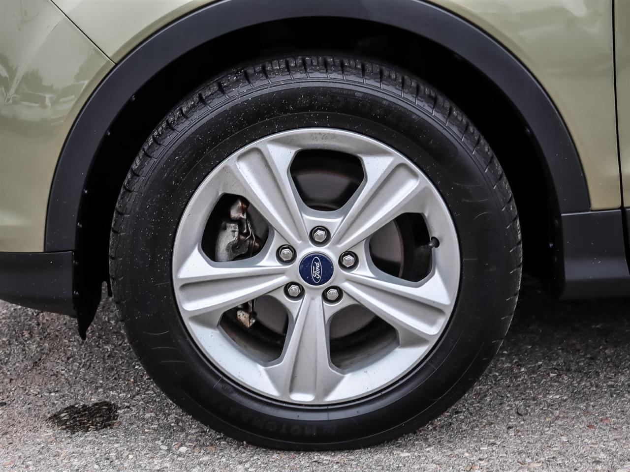 2013 Ford Escape  Photo