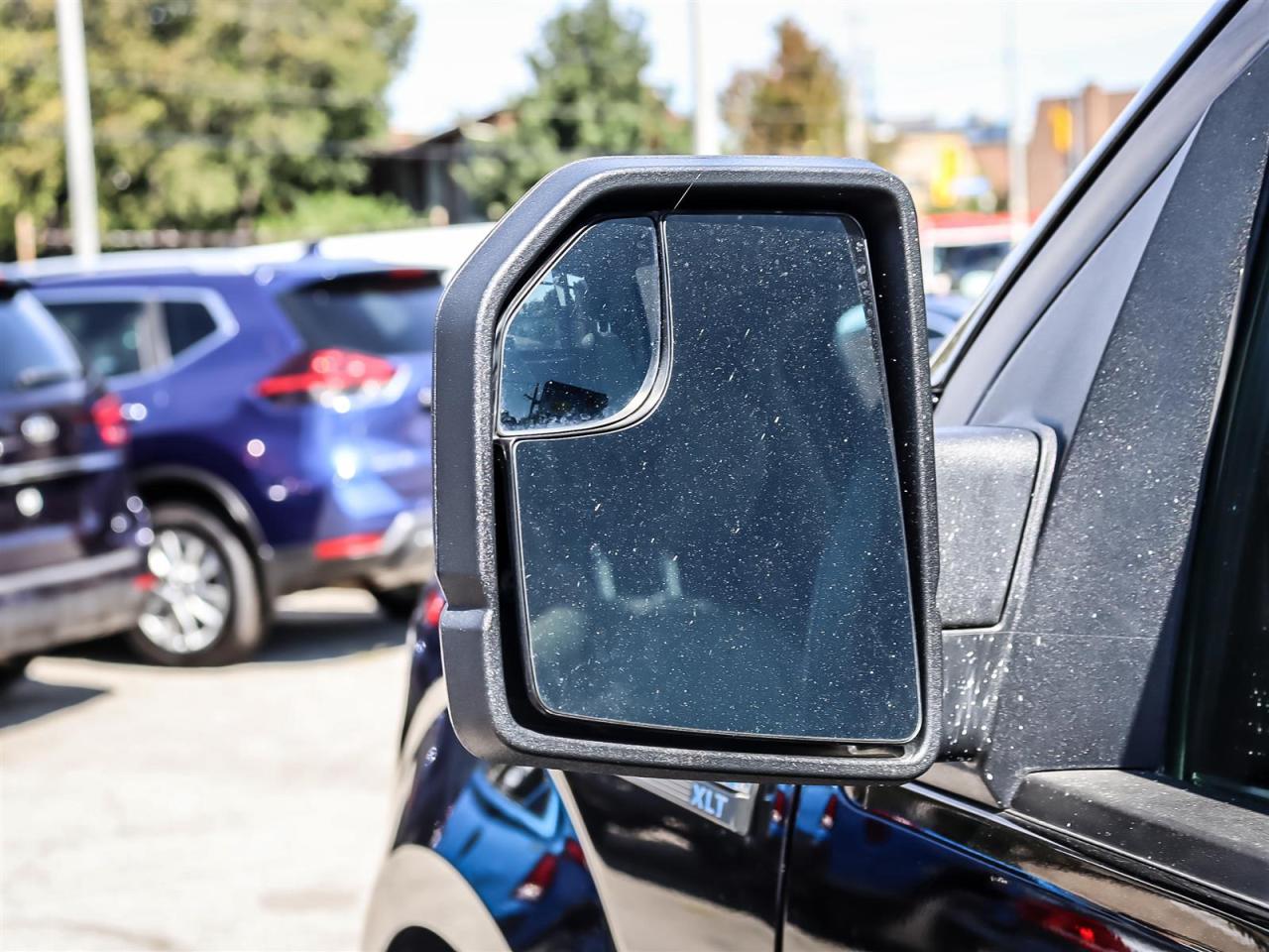 2019 Ford F-150  Photo