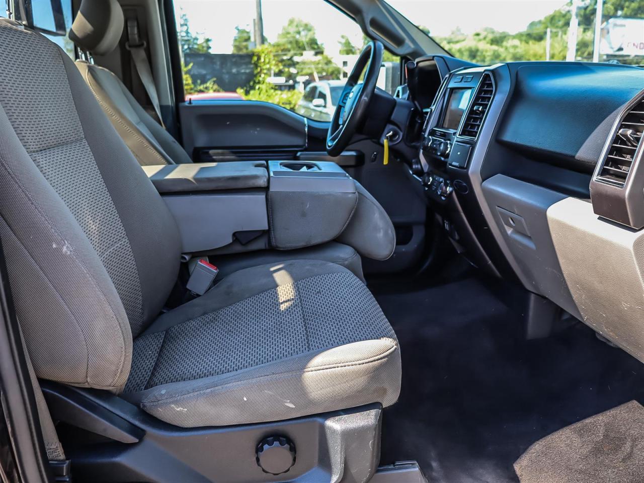 2019 Ford F-150  Photo