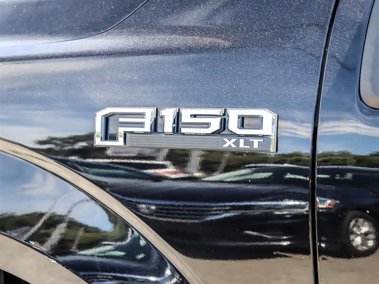 2019 Ford F-150  Photo