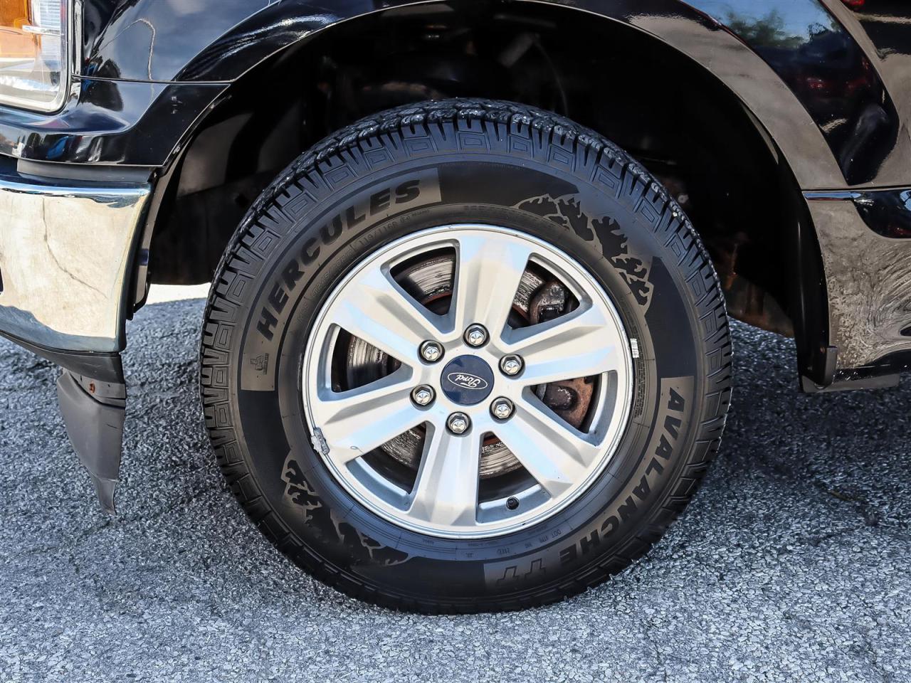 2019 Ford F-150  Photo