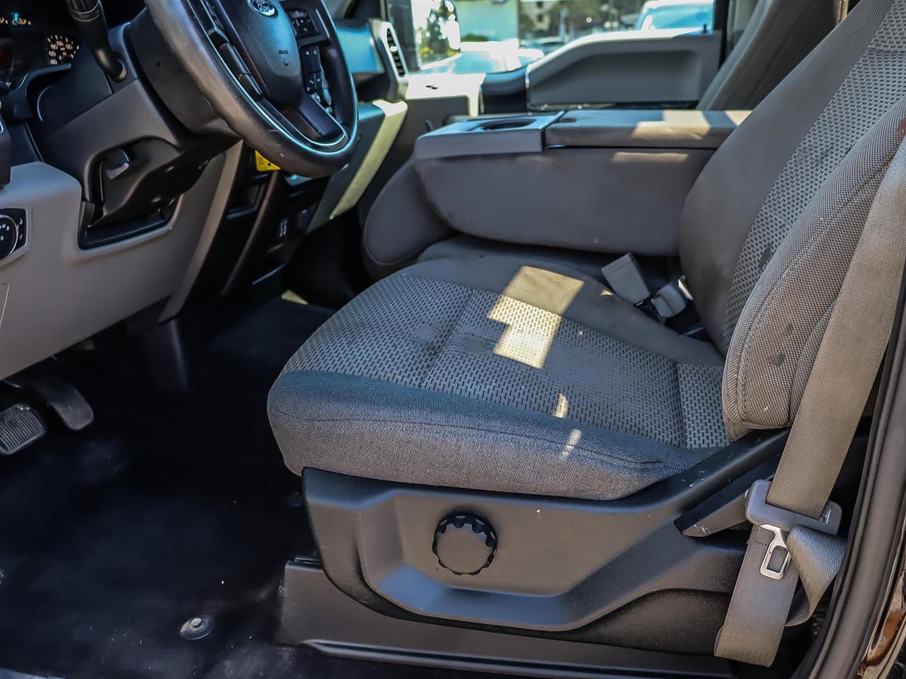 2019 Ford F-150  Photo