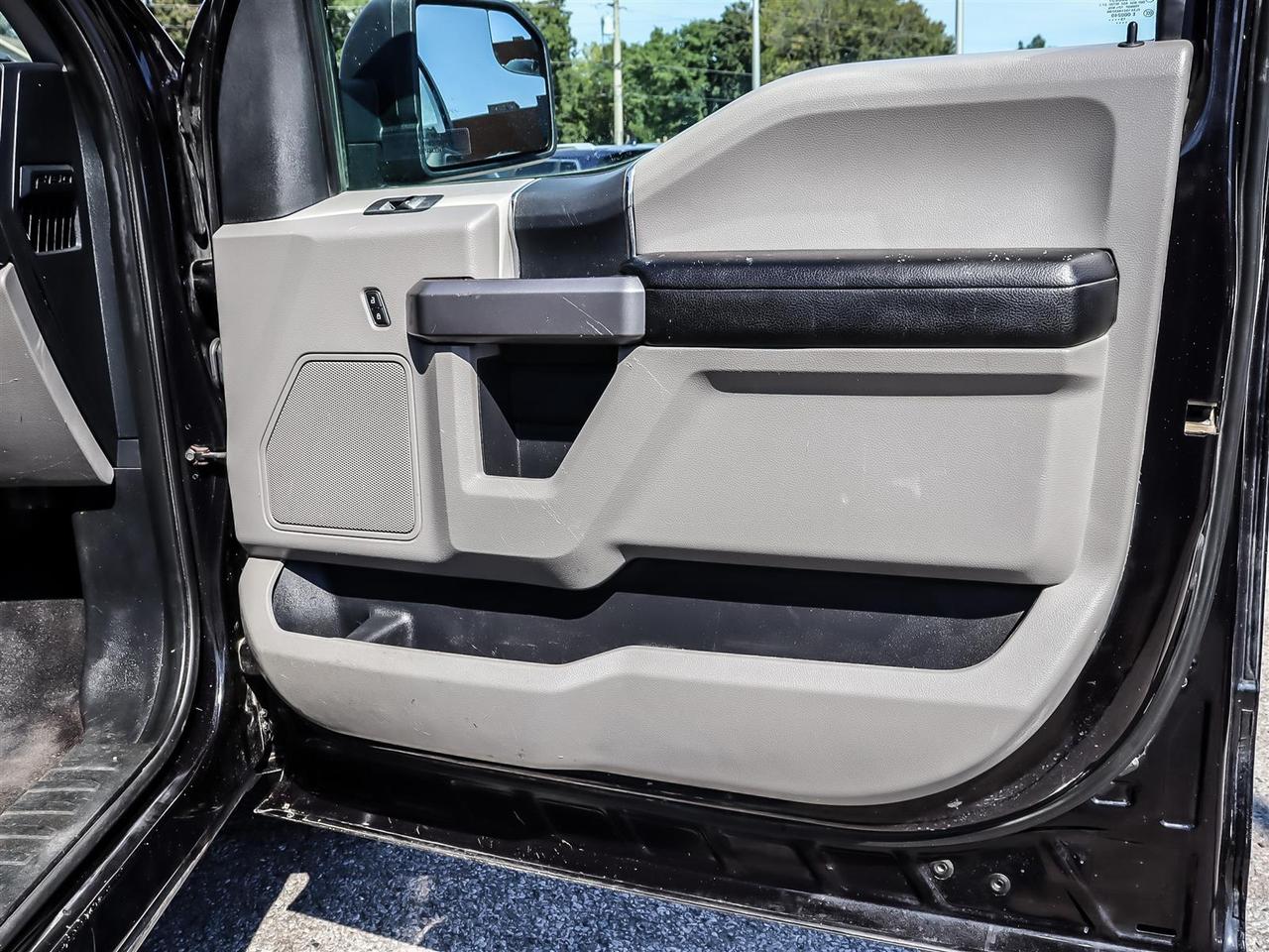 2019 Ford F-150  Photo