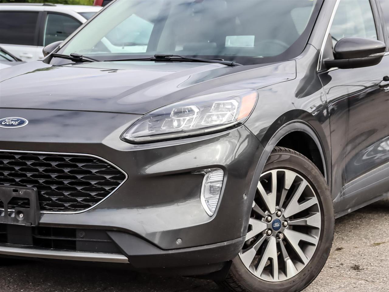 2020 Ford Escape  Photo