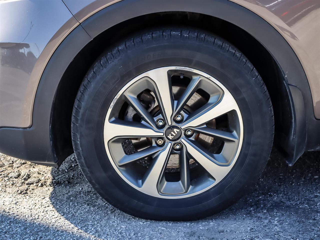 2019 Kia Sorento  Photo