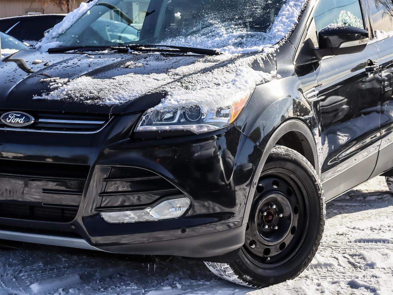 2014 Ford Escape  Photo