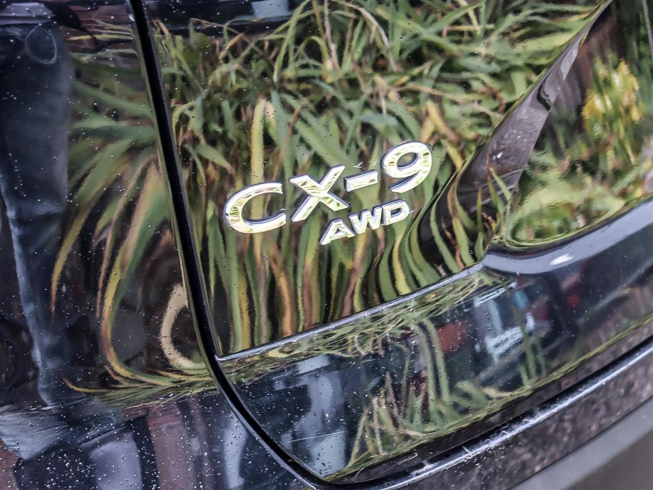 2021 Mazda CX-9  Photo