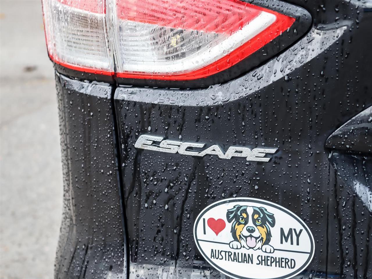 2016 Ford Escape  Photo