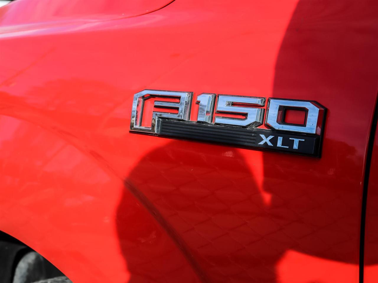 2020 Ford F-150  Photo