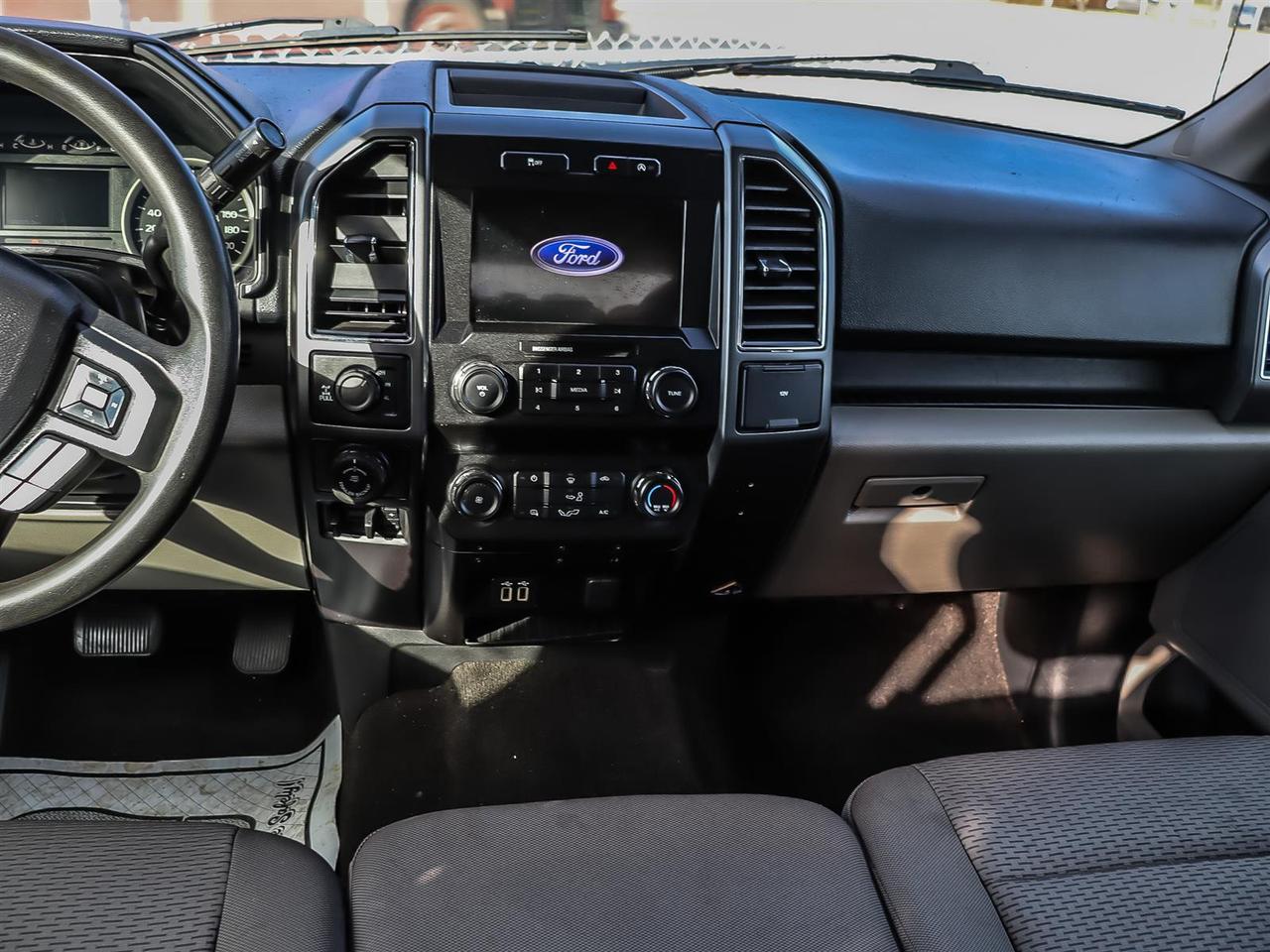 2020 Ford F-150  Photo