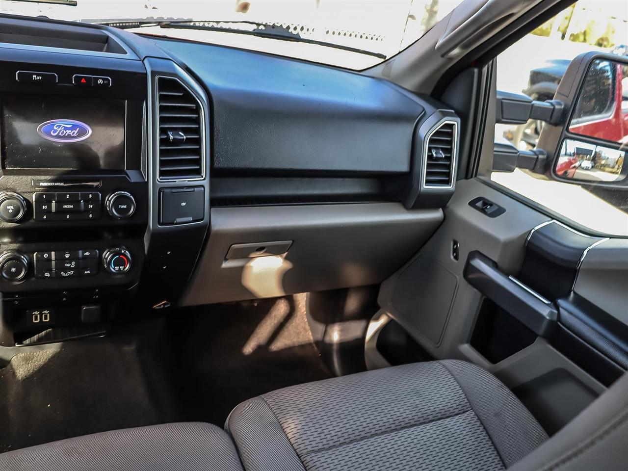 2020 Ford F-150  Photo