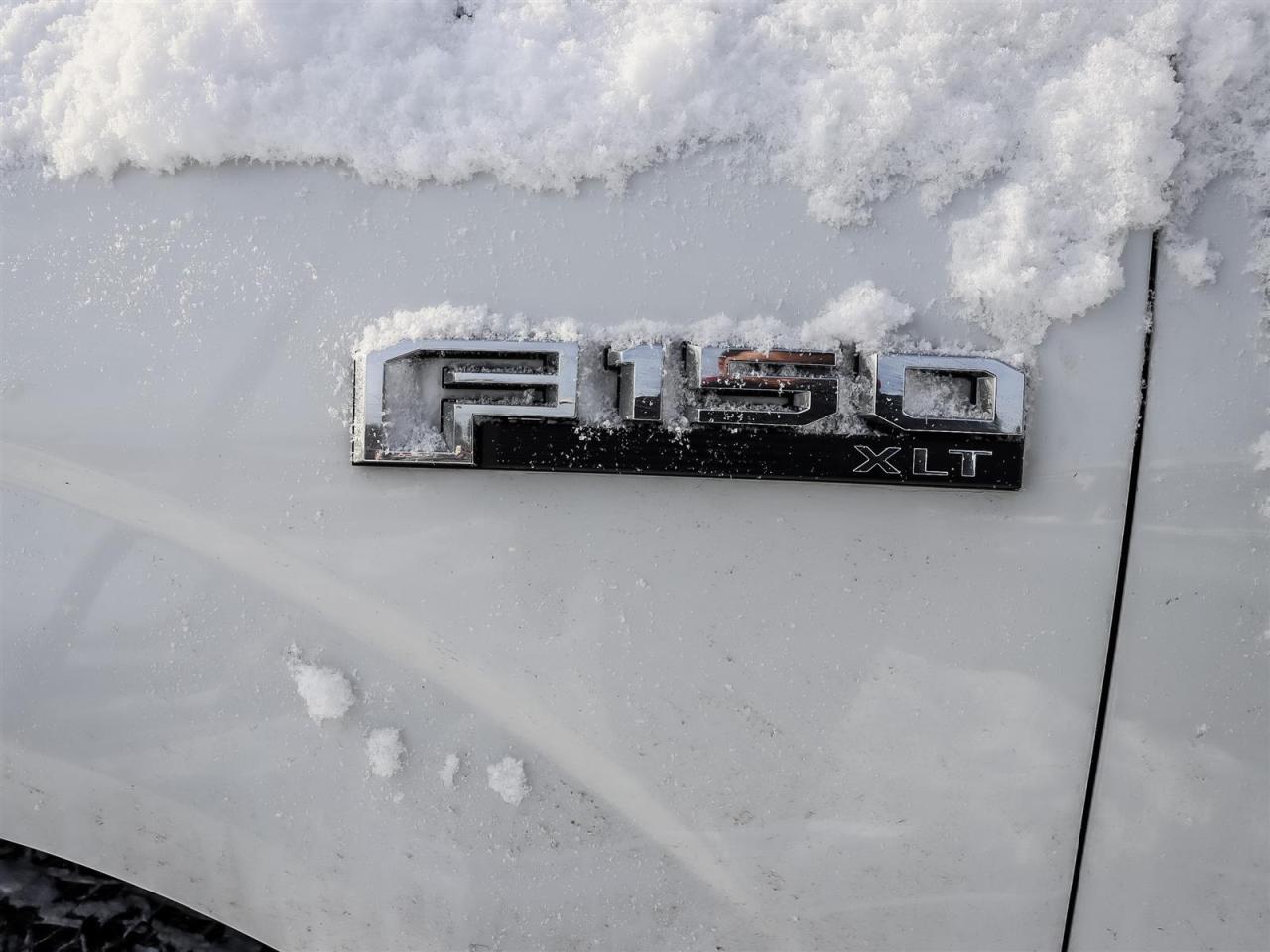 2015 Ford F-150  Photo