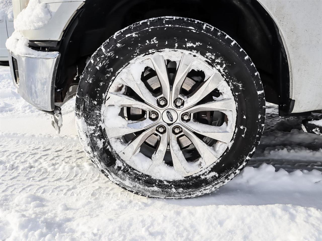 2015 Ford F-150  Photo