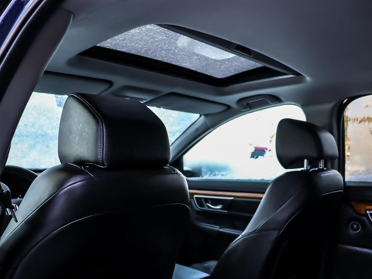 2019 Honda CR-V  Photo