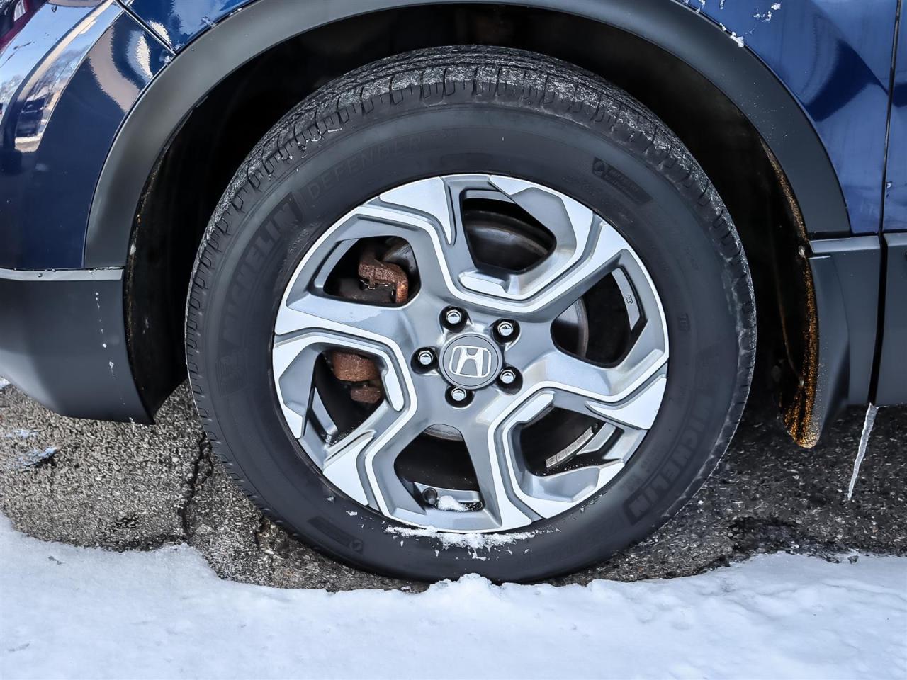 2019 Honda CR-V  Photo