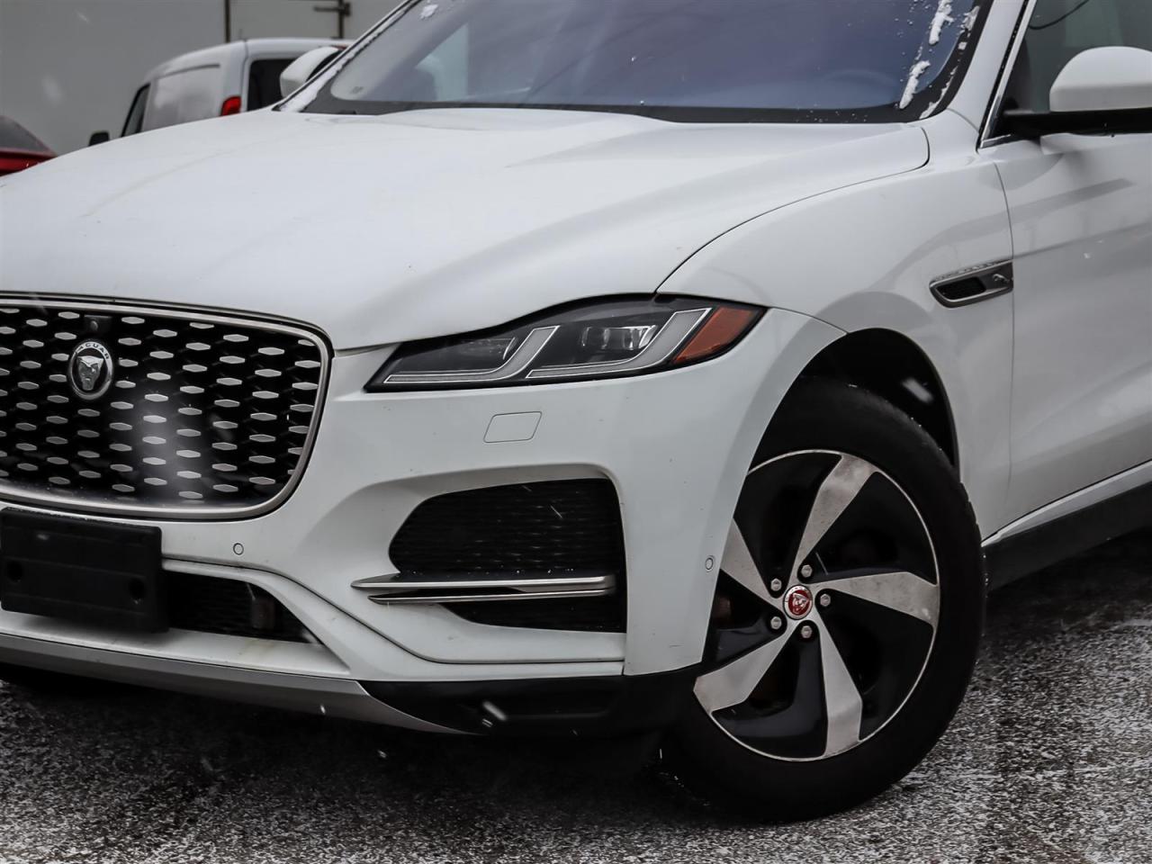 2021 Jaguar F-Type  Photo