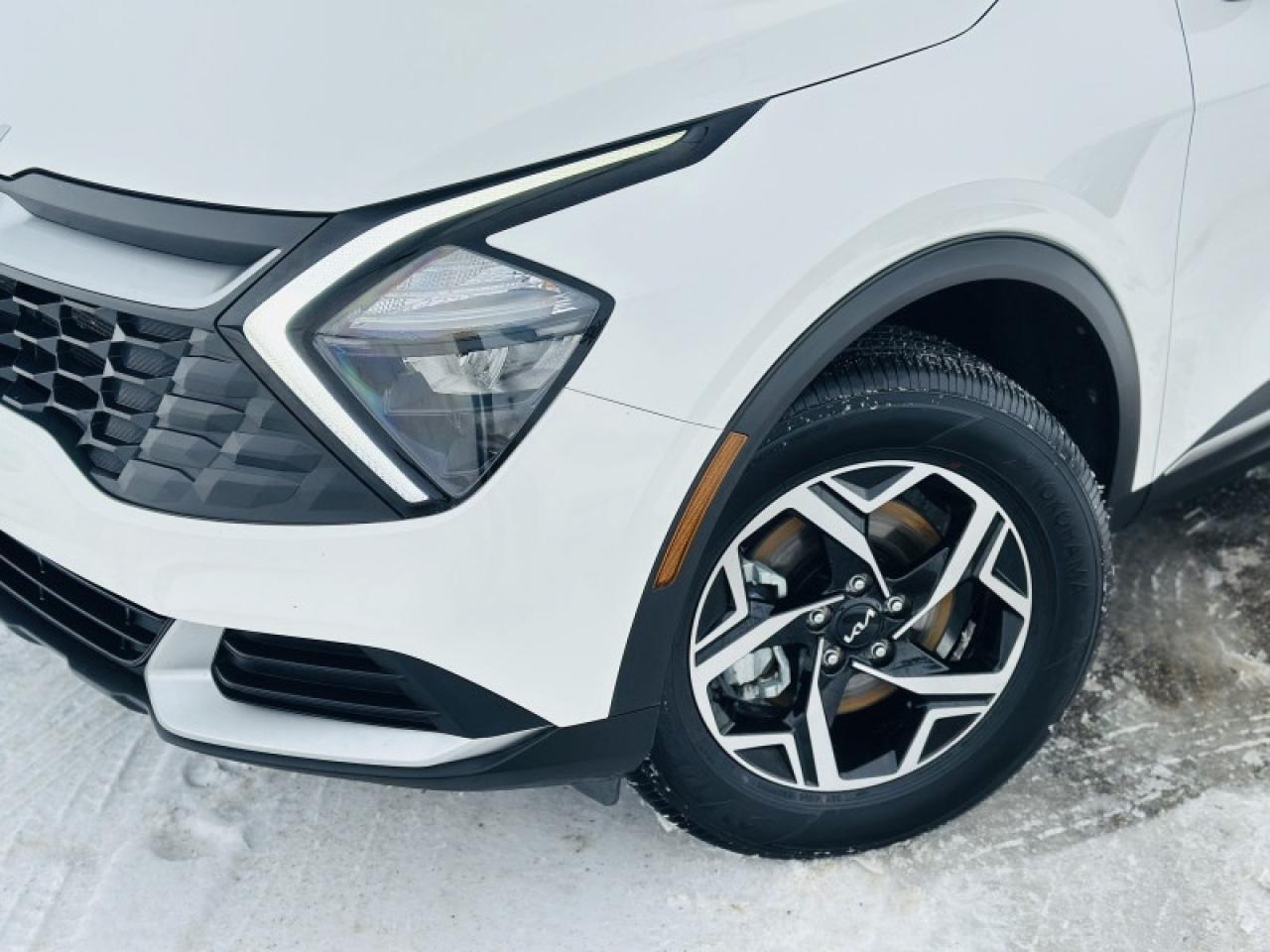 2024 Kia Sportage LX AWD Photo