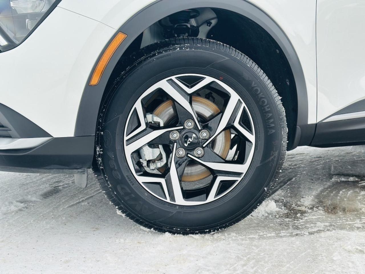 2024 Kia Sportage LX AWD Photo