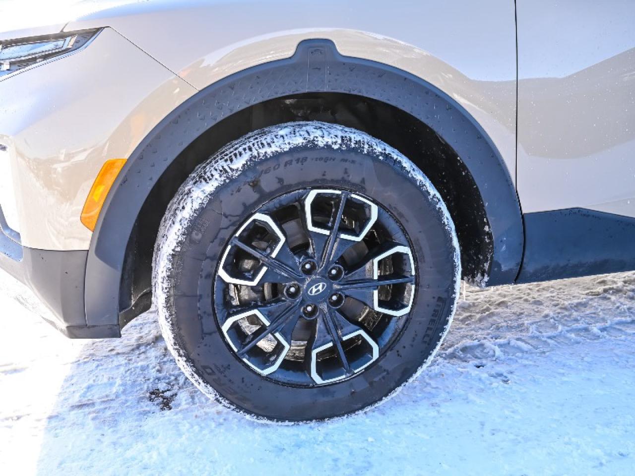 2024 Hyundai Santa Cruz Preferred Photo