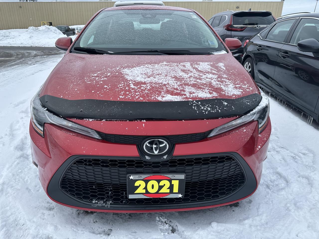 2021 Toyota Corolla LE Photo1