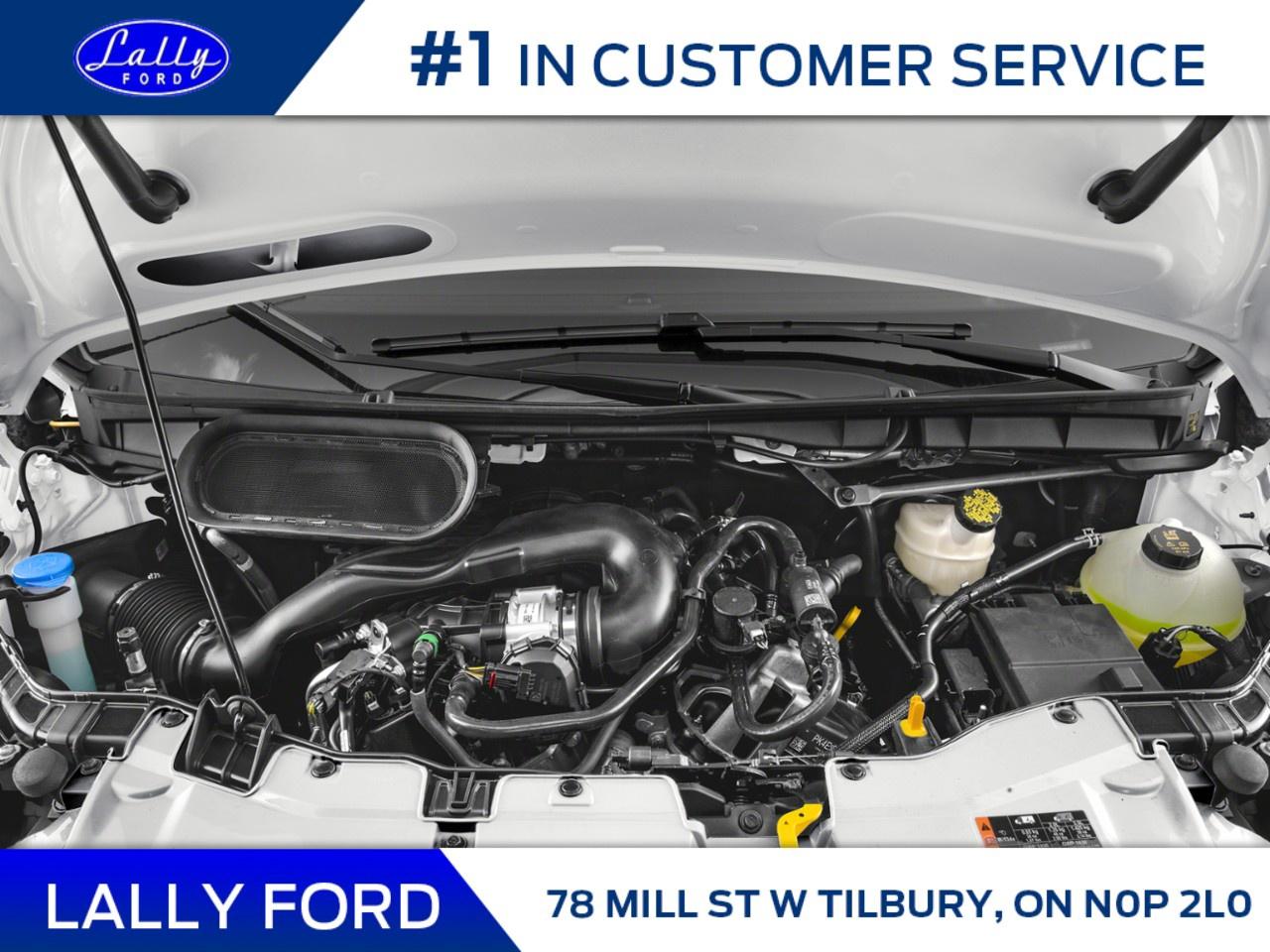 2025 Ford Transit Cargo Van T-250 148" MED RF 9070 GVWR AWD Photo