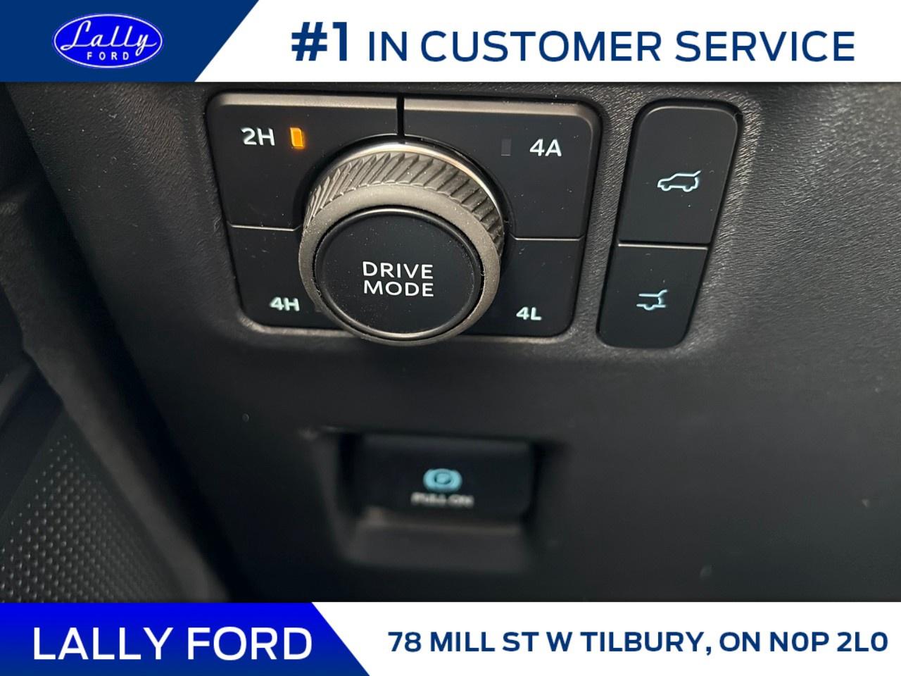 2026 Ford Expedition Platinum 4x4 Photo