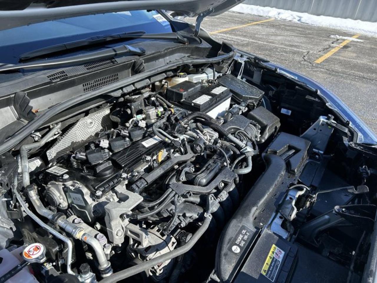 2024 Toyota Corolla Cross XLE Photo