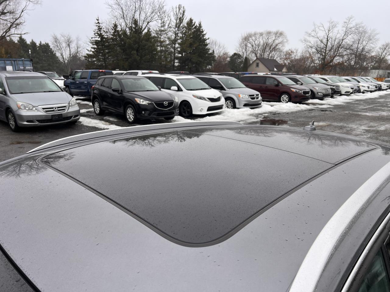 2016 Audi Q5 2.0T Progressiv Photo