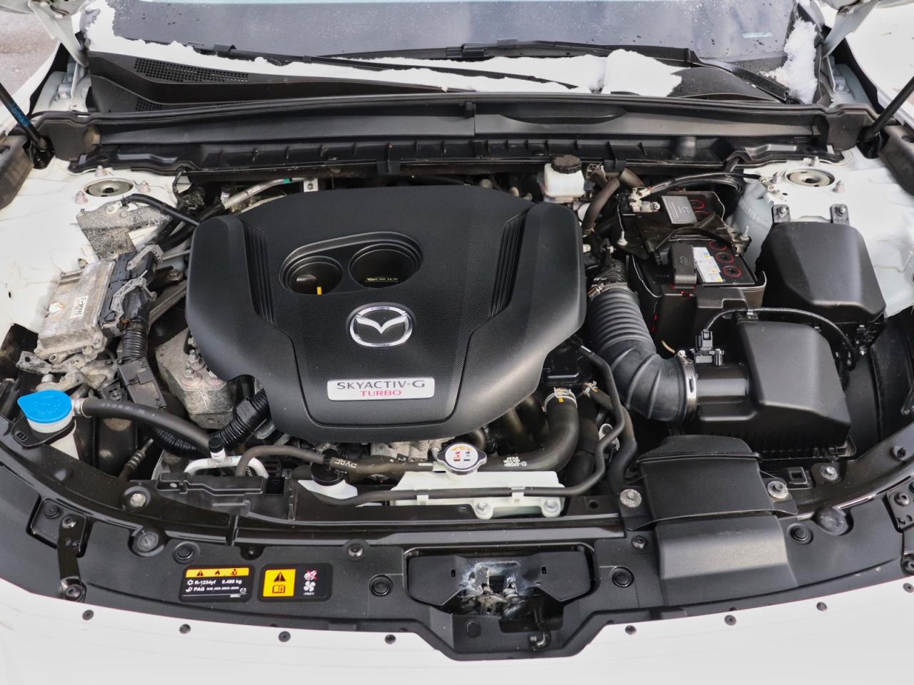 2023 Mazda CX-50 GT W/TURBO Photo