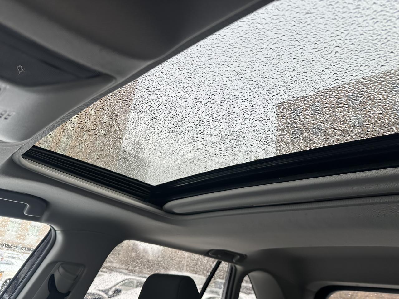 2019 Toyota RAV4 AWD Hybrid XLE Photo