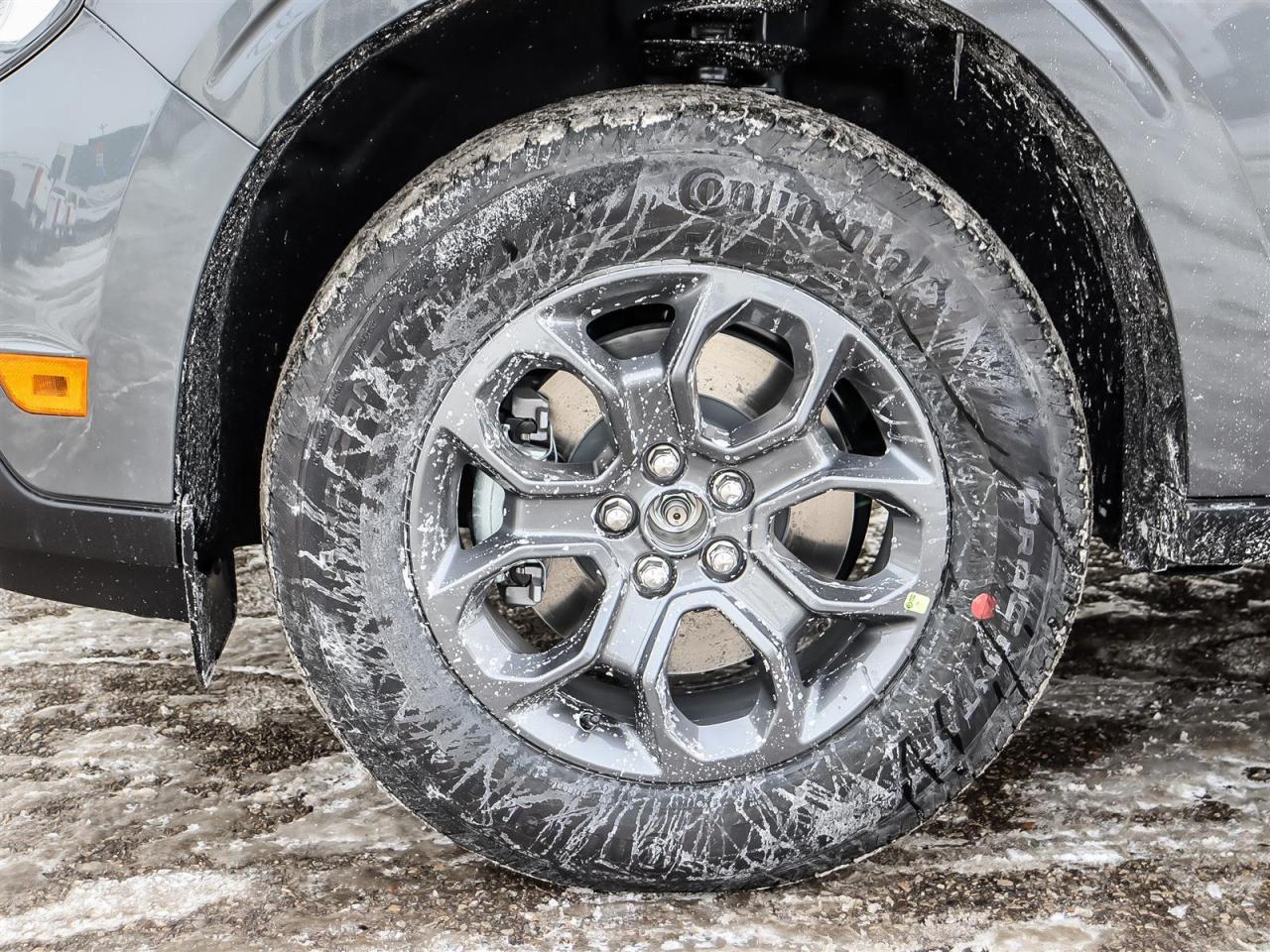 2026 Ford Maverick XLT Photo