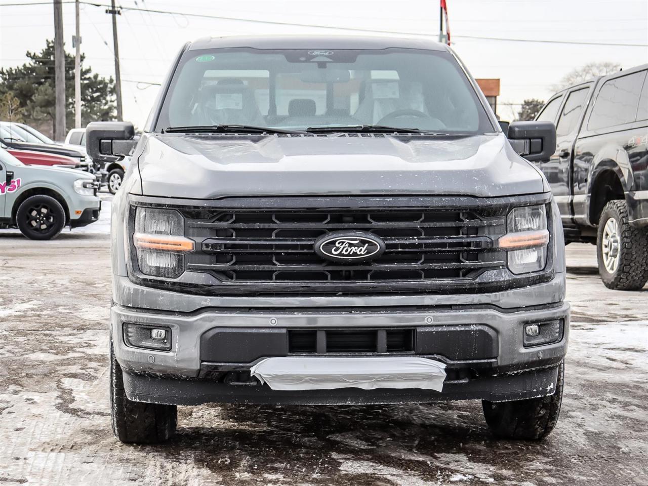 2026 Ford F-150 XLT Photo