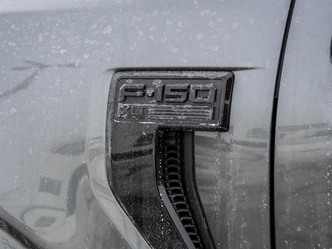 2026 Ford F-150 XLT Photo