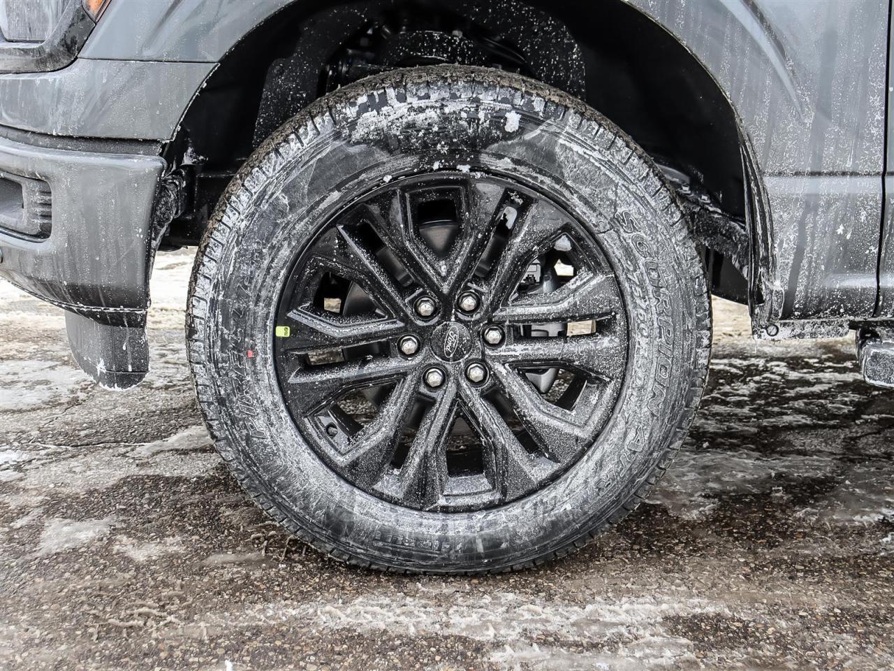 2026 Ford F-150 XLT Photo