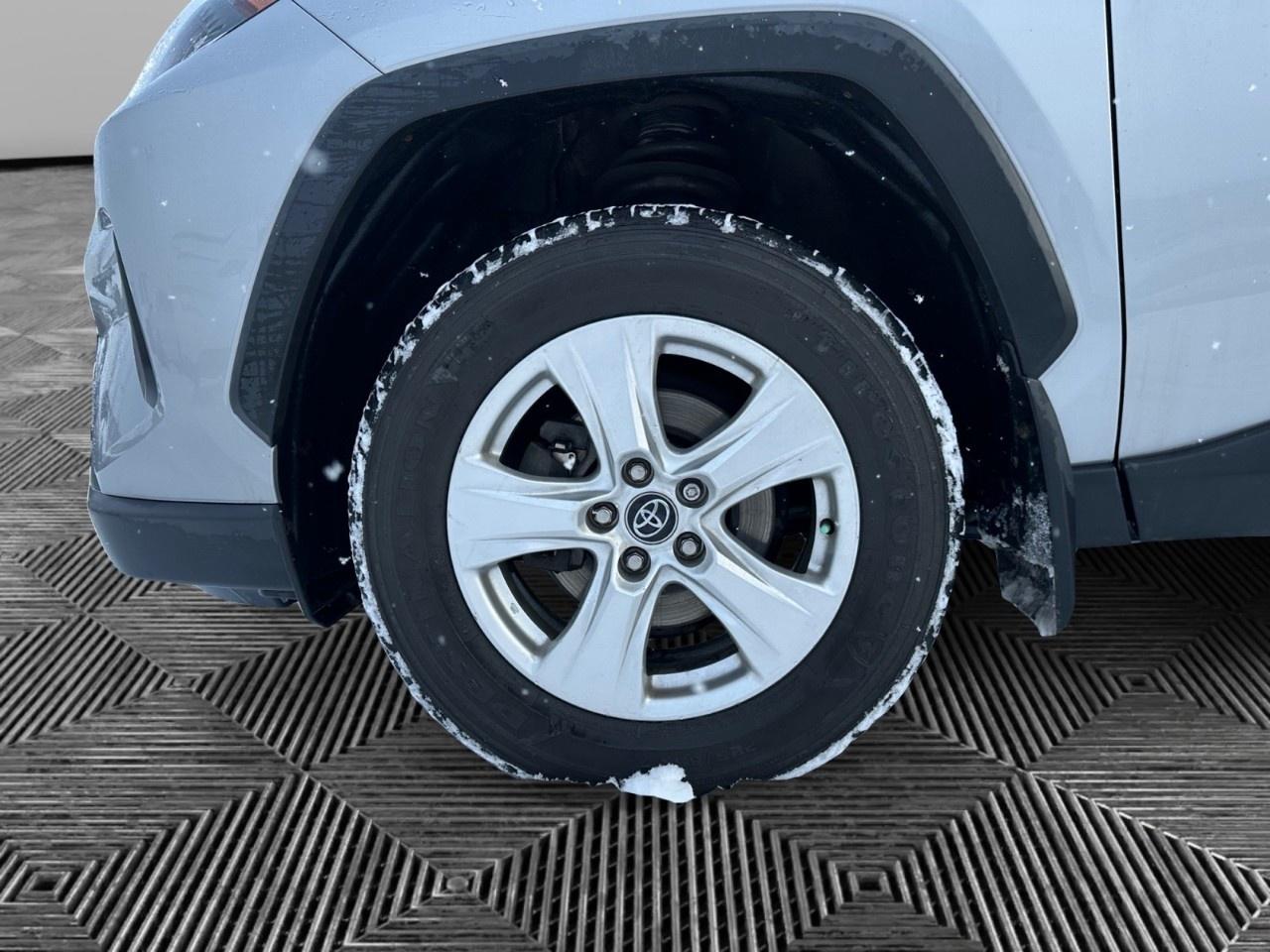 2019 Toyota RAV4 AWD LE Photo