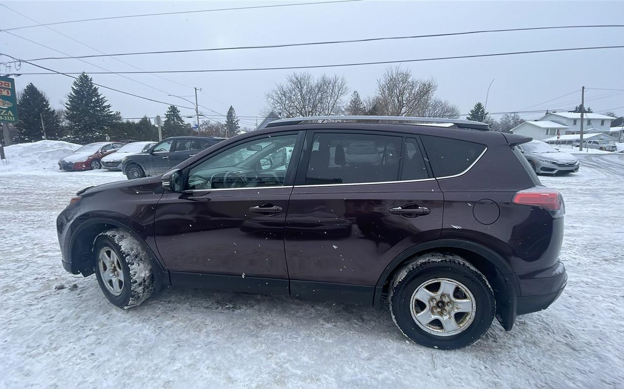 2017 Toyota RAV4 XLE Photo