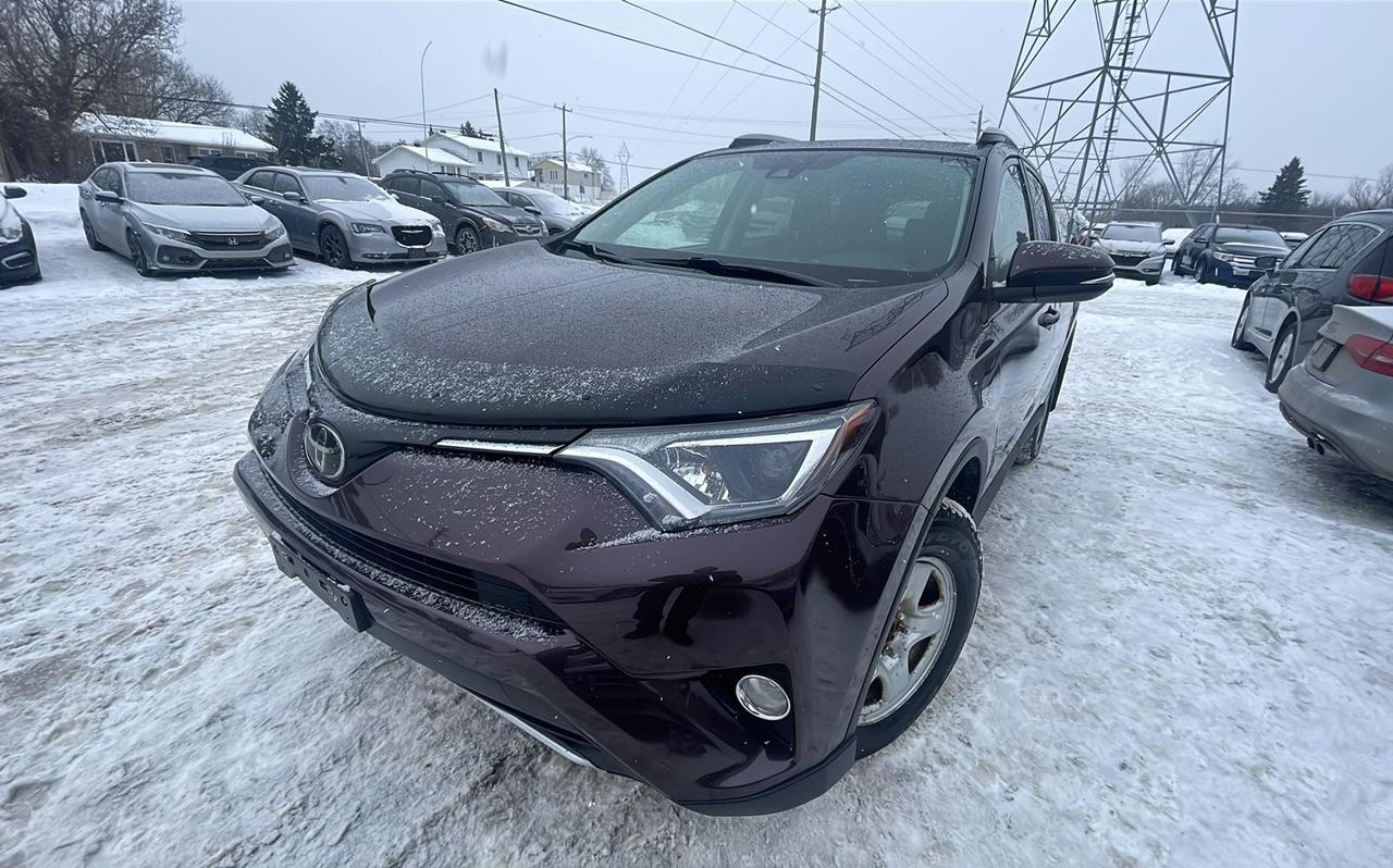 2017 Toyota RAV4 XLE Photo