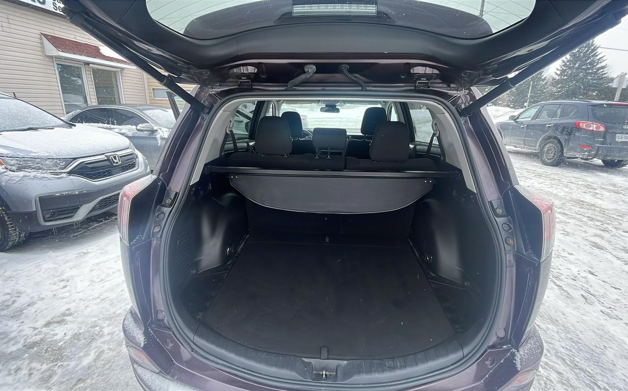 2017 Toyota RAV4 XLE Photo