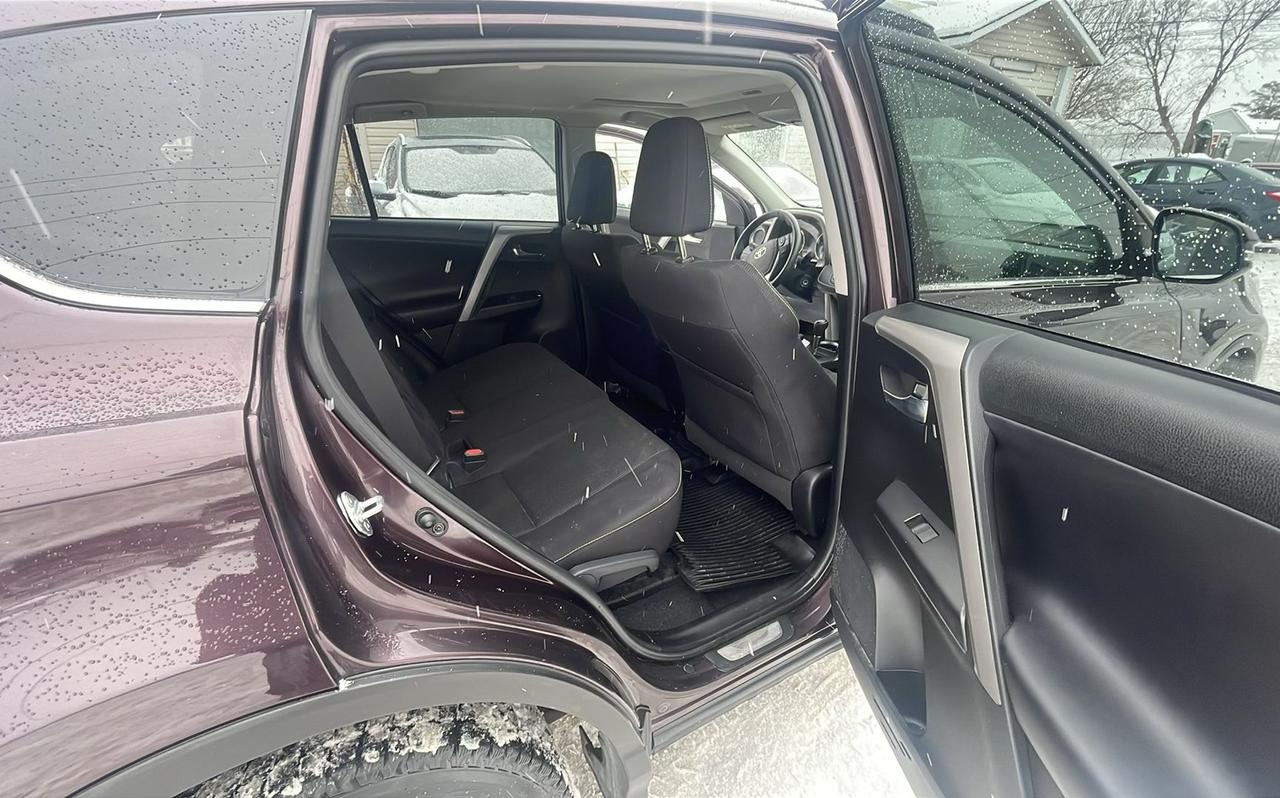 2017 Toyota RAV4 XLE Photo