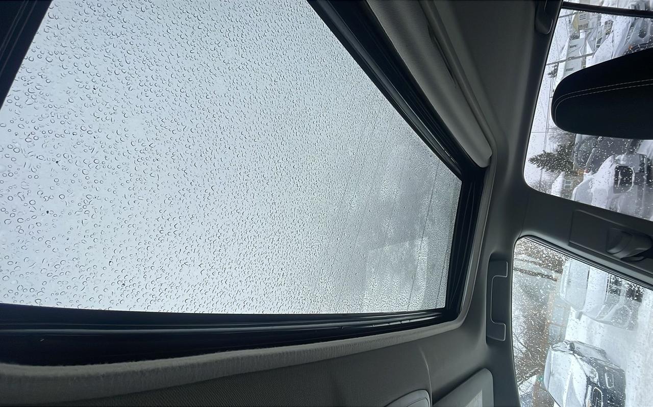 2017 Toyota RAV4 XLE Photo