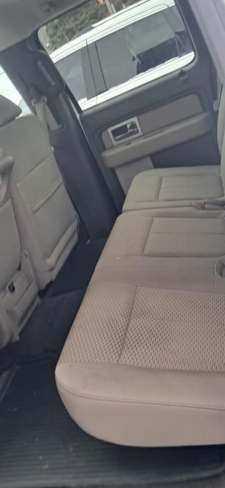 2010 Ford F-150 XLT -4X4 Photo