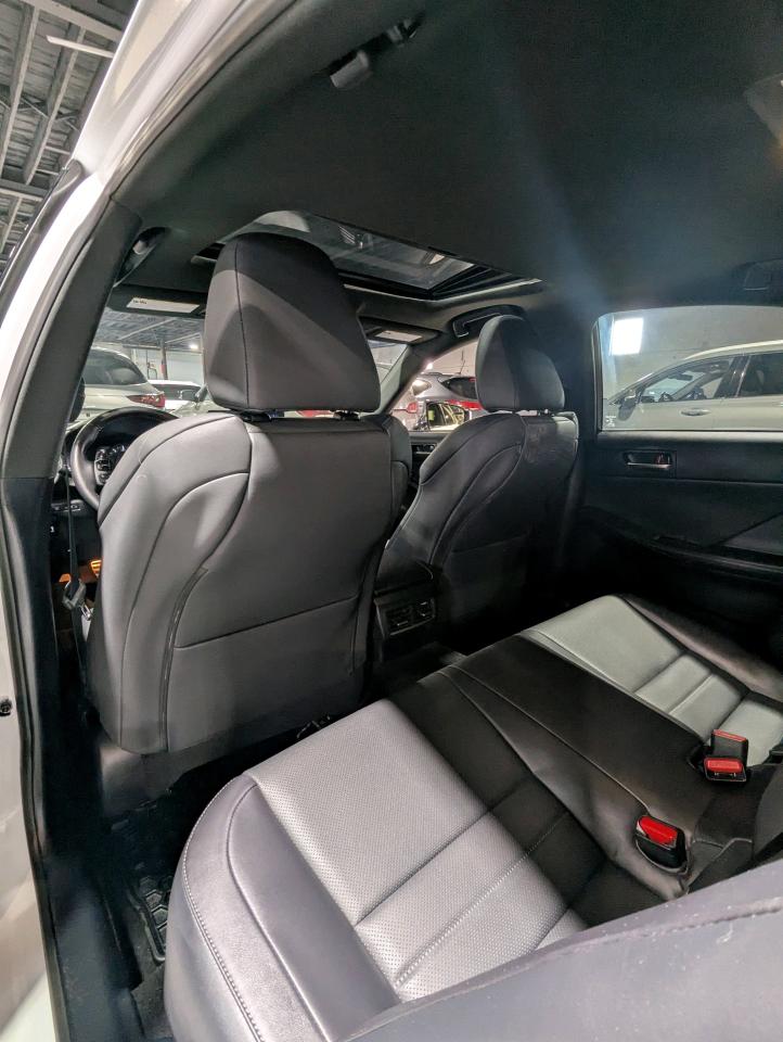 2024 Lexus IS IS 300 AWD Photo