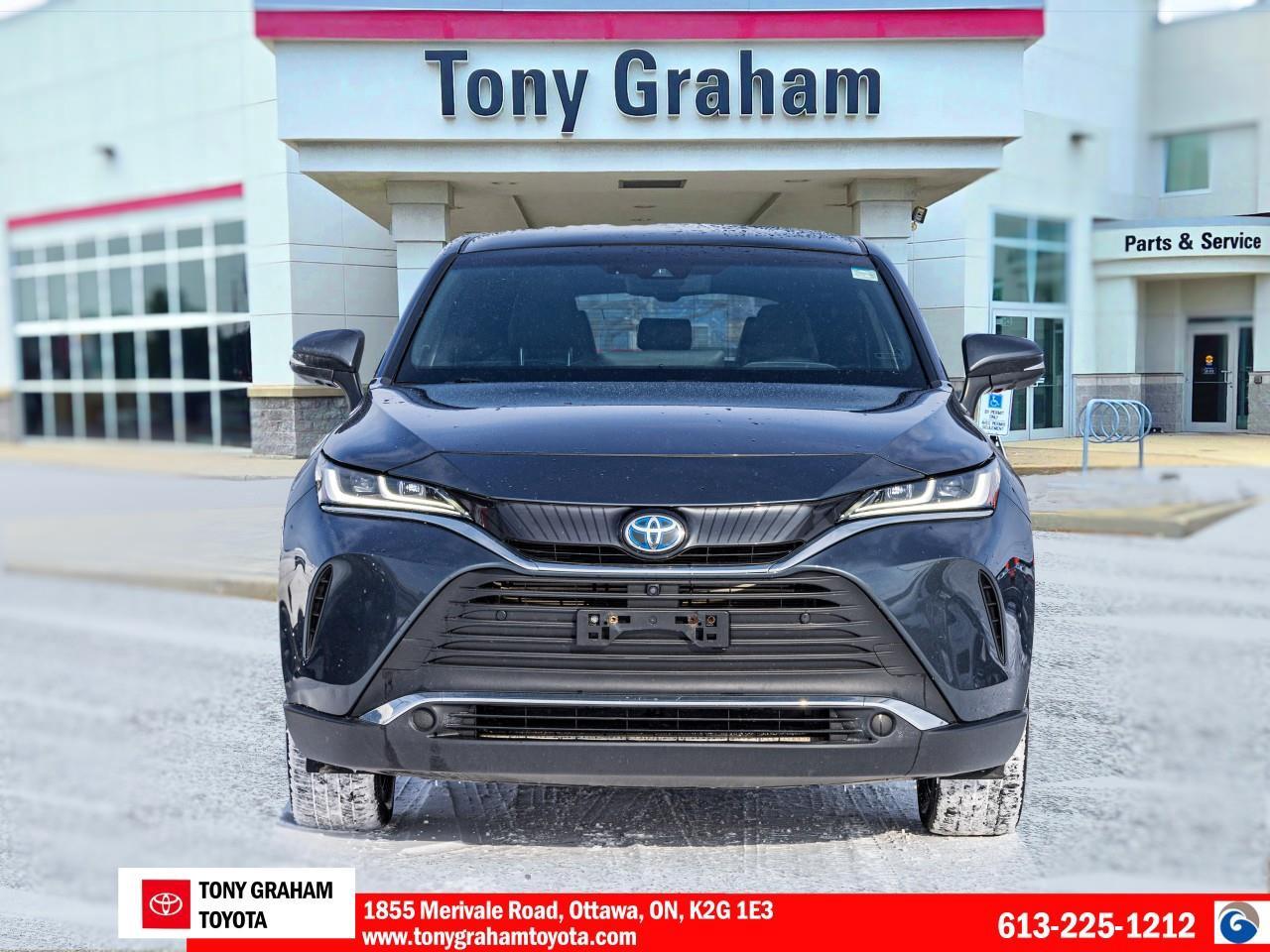 2021 Toyota Venza LIMITED Photo