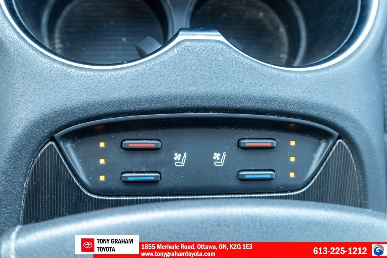 2021 Toyota Venza LIMITED Photo