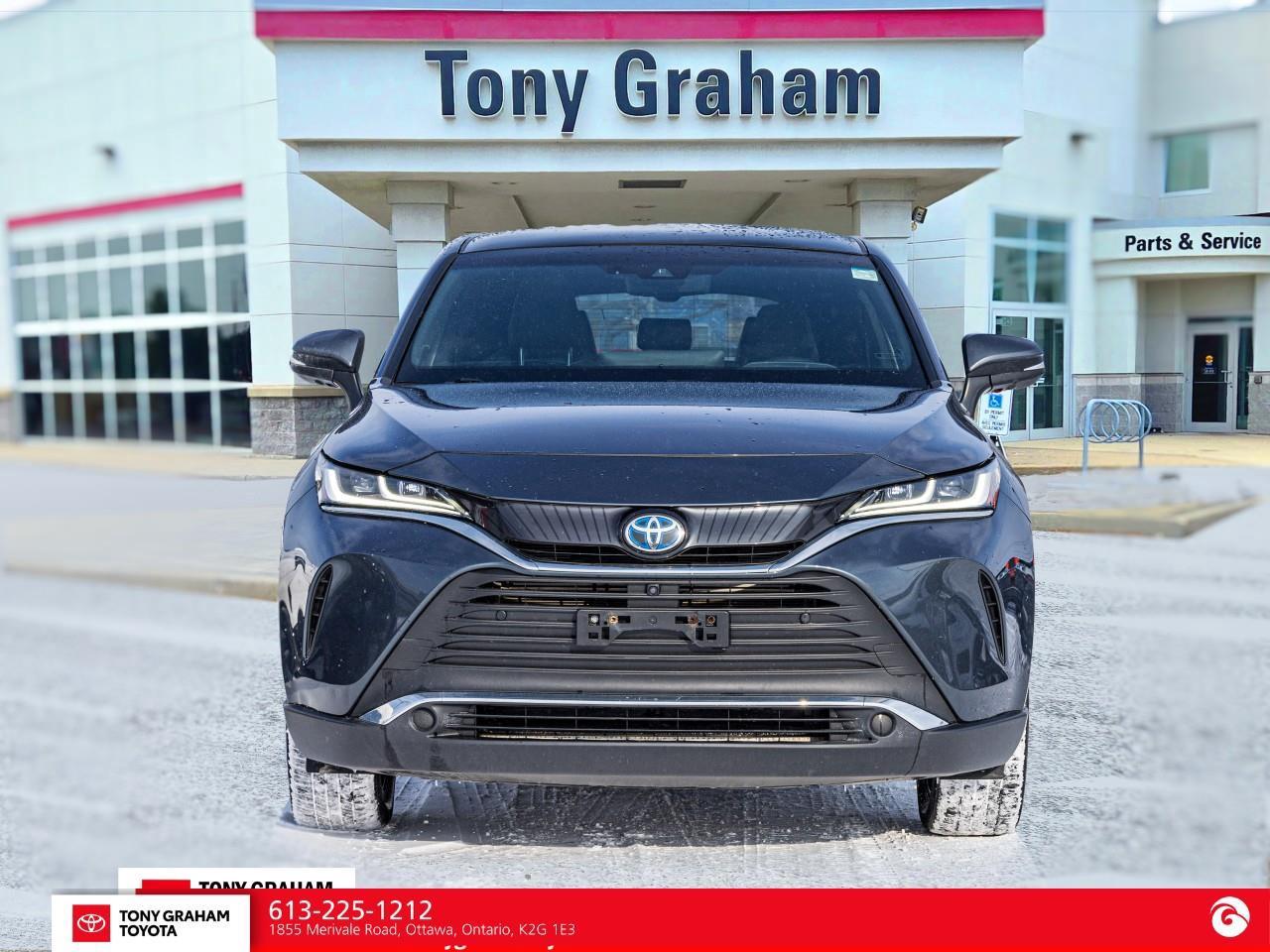 2021 Toyota Venza LIMITED Photo