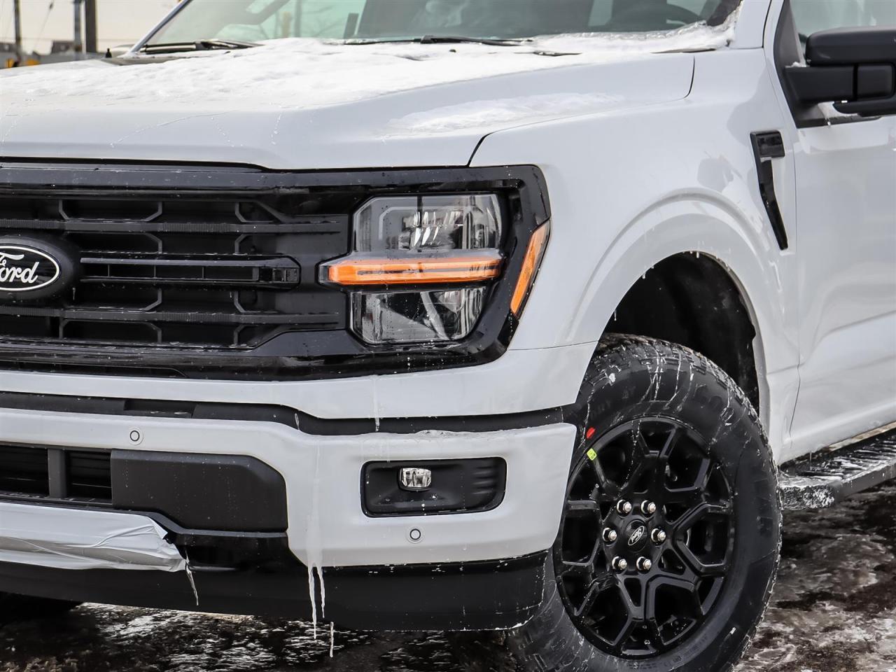 2026 Ford F-150 XLT Photo