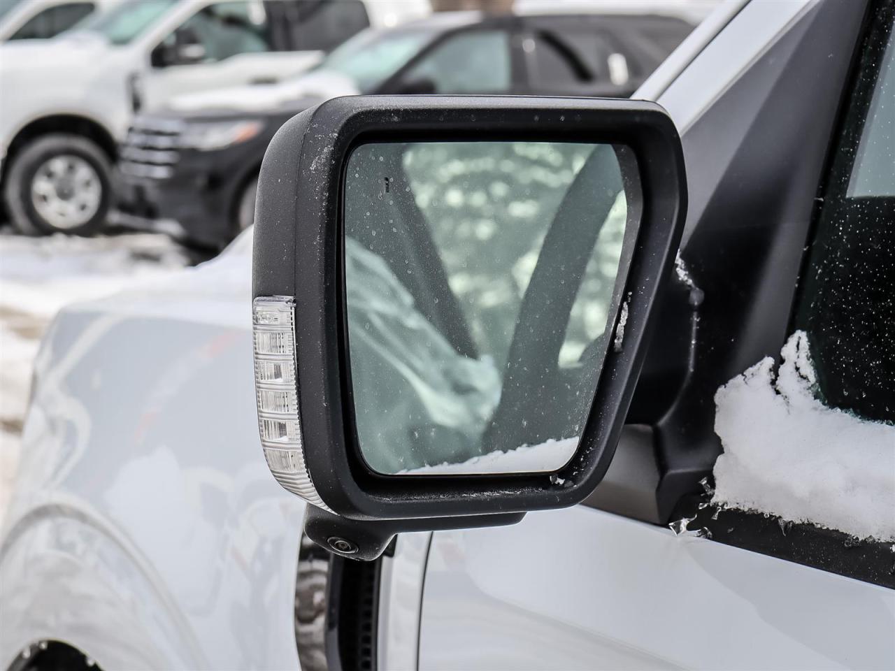 2026 Ford F-150 XLT Photo